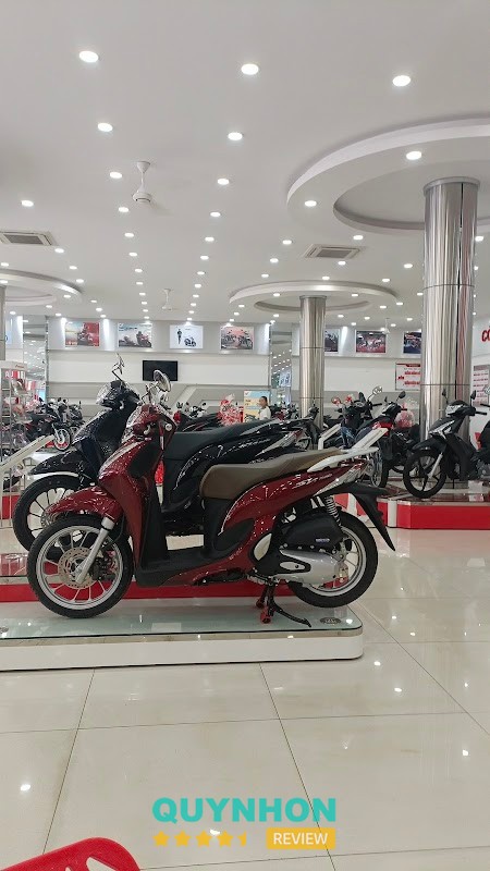 HEAD Toàn Trung 3 – 01 Lê Duẩn, Pleiku, Gia Lai 61000, Việt Nam hình ảnh 2