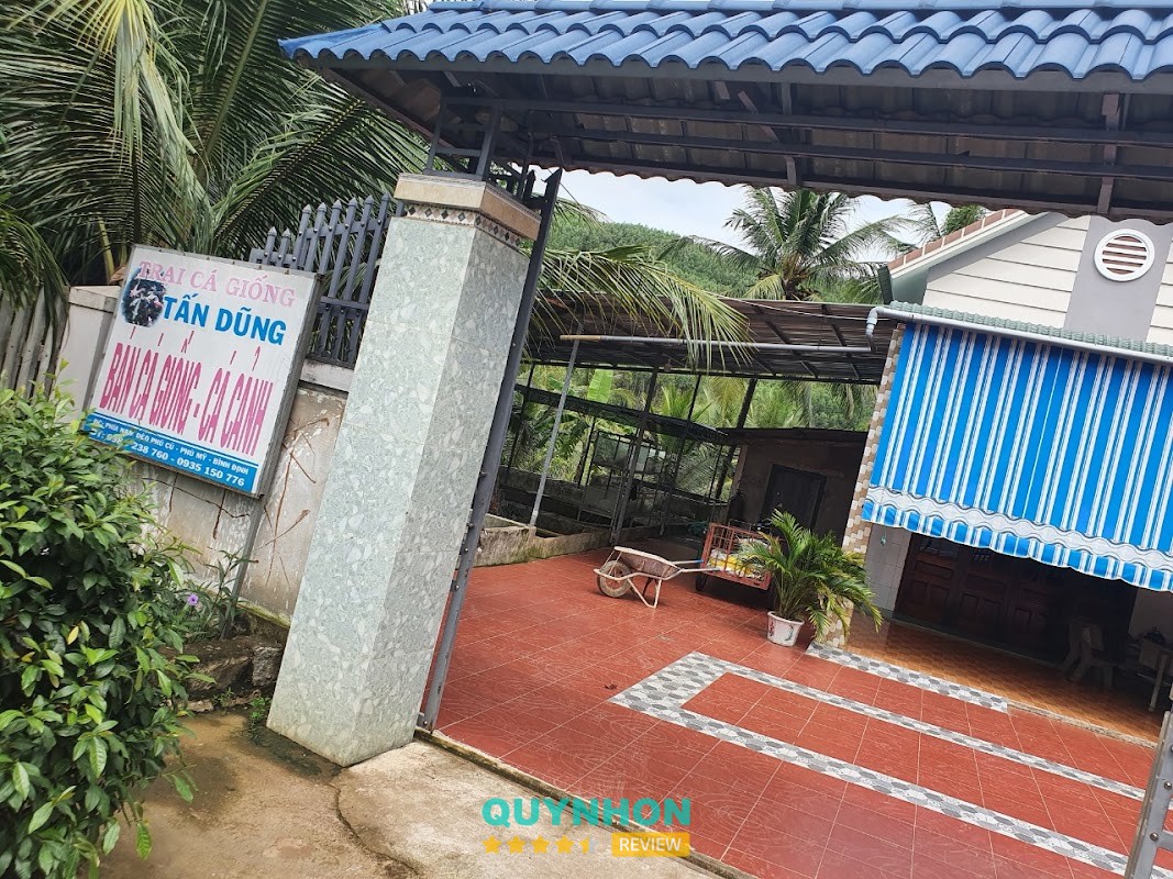 Trại Cá Giống Tấn Dũng Gia Lai