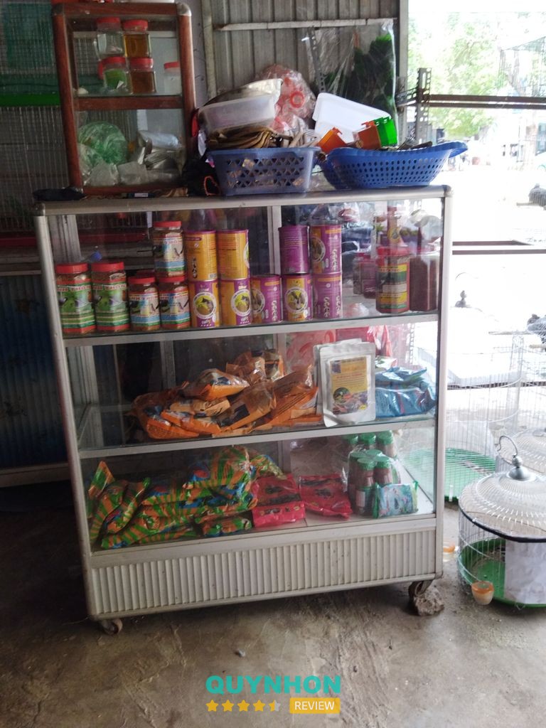 Cửa hàng chim cảnh KHANH LÊ tại An Phú Pleiku