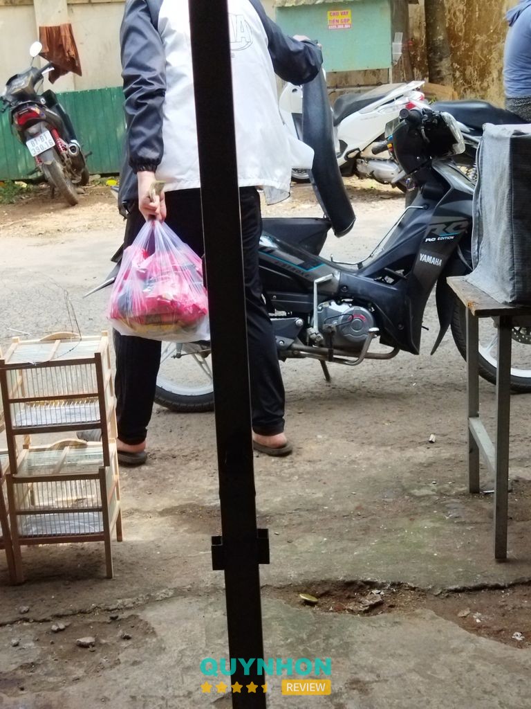 Cửa hàng chim cảnh KHANH LÊ – hình ảnh 2