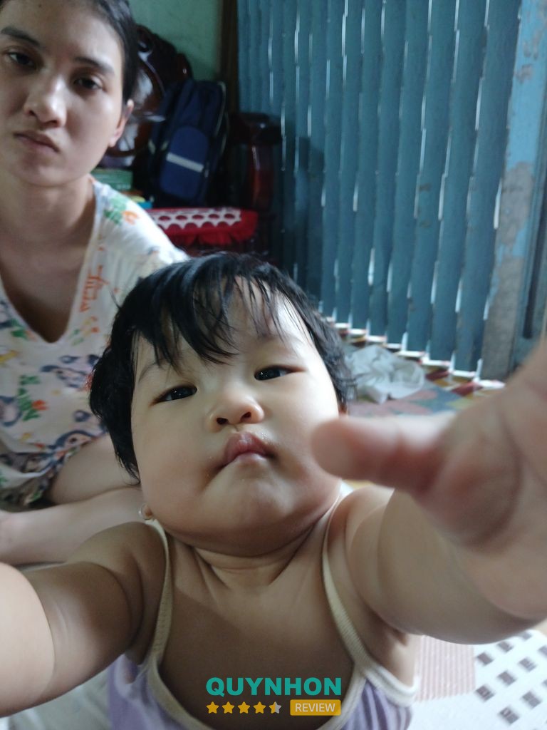Cửa Hàng Mua Bán Chim Cảnh Quy Nhơn