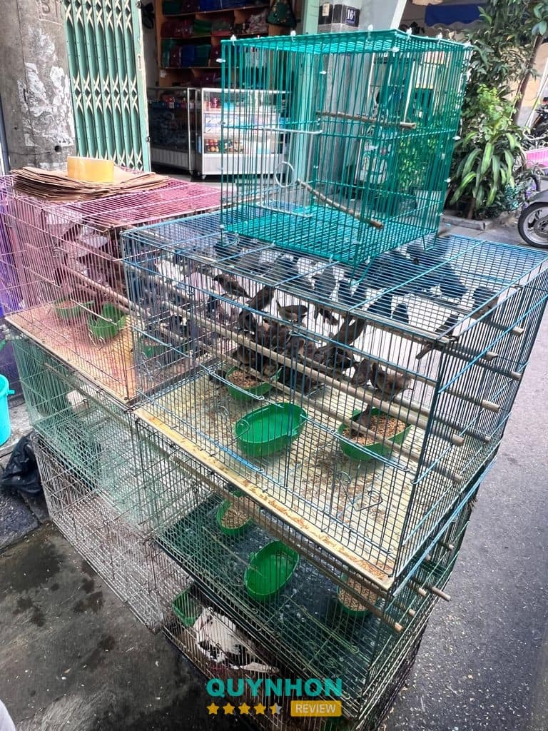 Cửa Hàng Chim Cảnh Đức Độ – hình ảnh 2