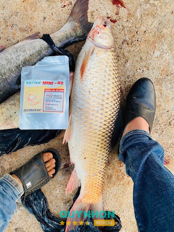 Đồ Câu Taro – hình ảnh 2