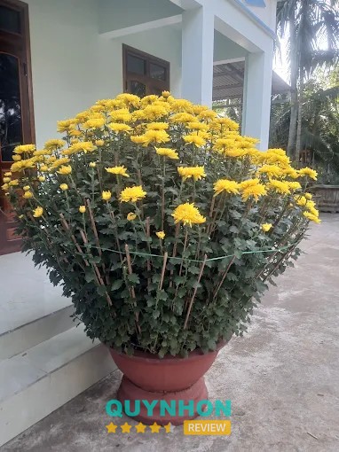 Nhà Máy Gạo Ông Ảnh – hình ảnh 2