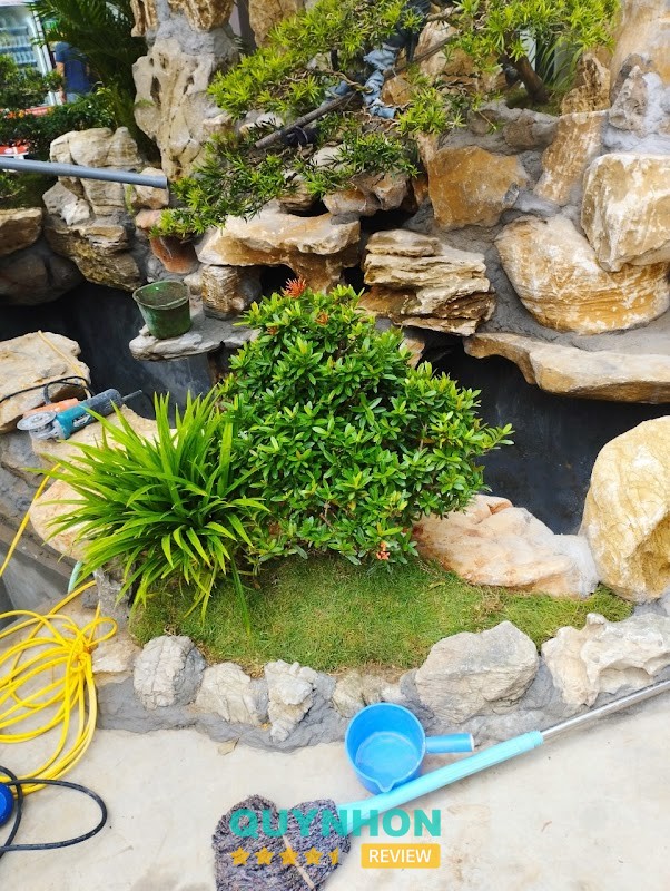 Cơ sở cây giống Lâm Nghiệp Pleiku - Gia Lai – hình ảnh 2