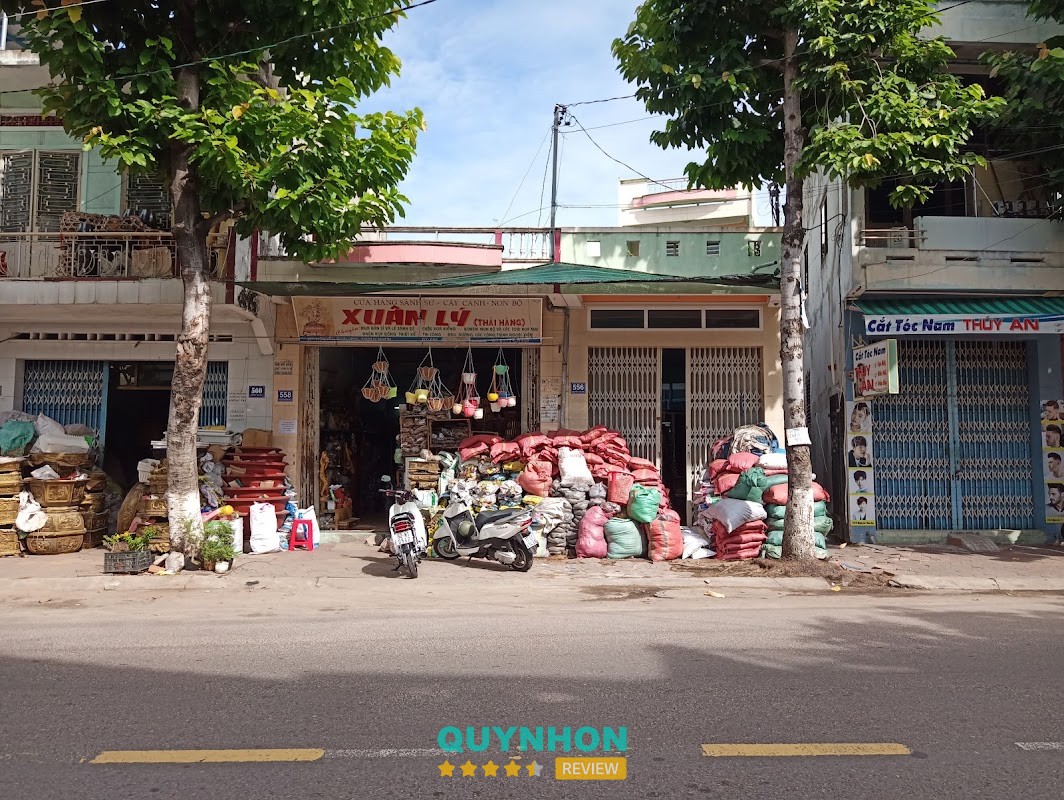 Gốm Sứ Xuân Lý Quy Nhơn