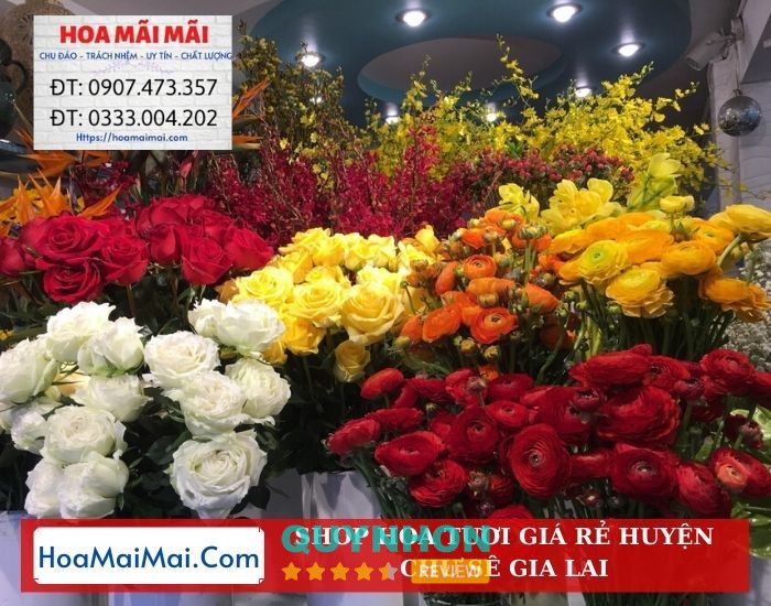 Shop Hoa Tươi Huyện Chư Sê Điện Hoa Chư Sê