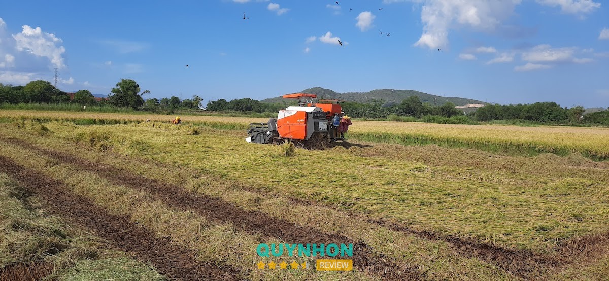 Cửa Hàng Máy Nông Ngư Cơ Đại Lợi – hình ảnh 2