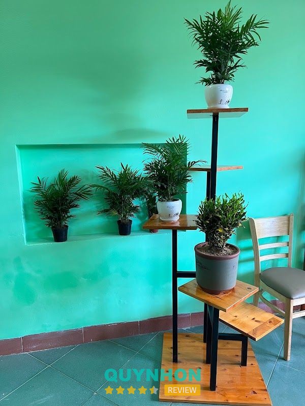 SHOP CÂY PHONG THUỶ – hình ảnh 3