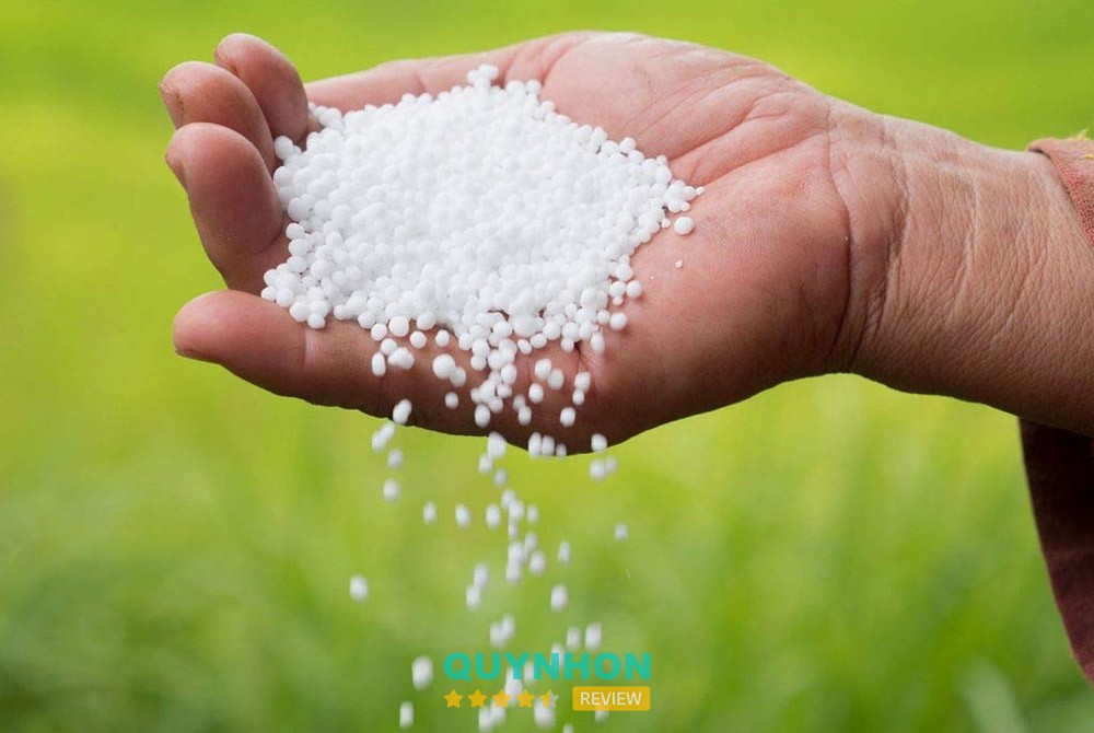 Đại Lý Thuốc Bảo Vệ Thực Vật Trọng Mỹ Hiệp Gia Lai