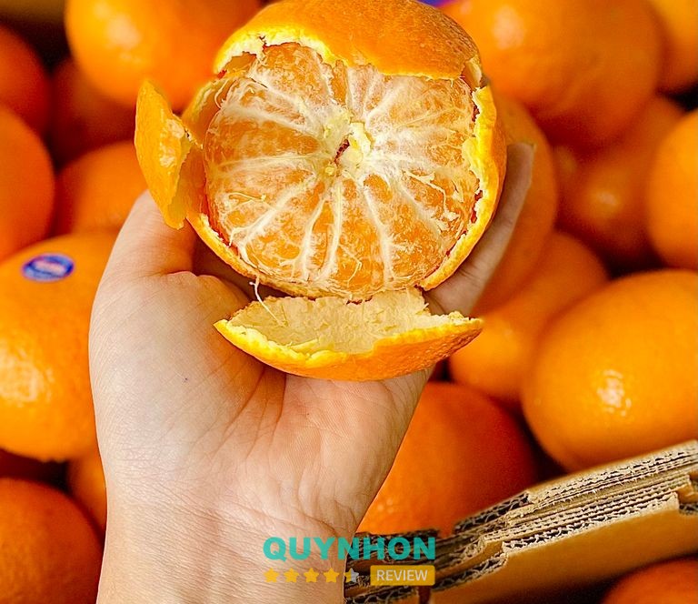 Sachi Fruits Pleiku – hình ảnh 3