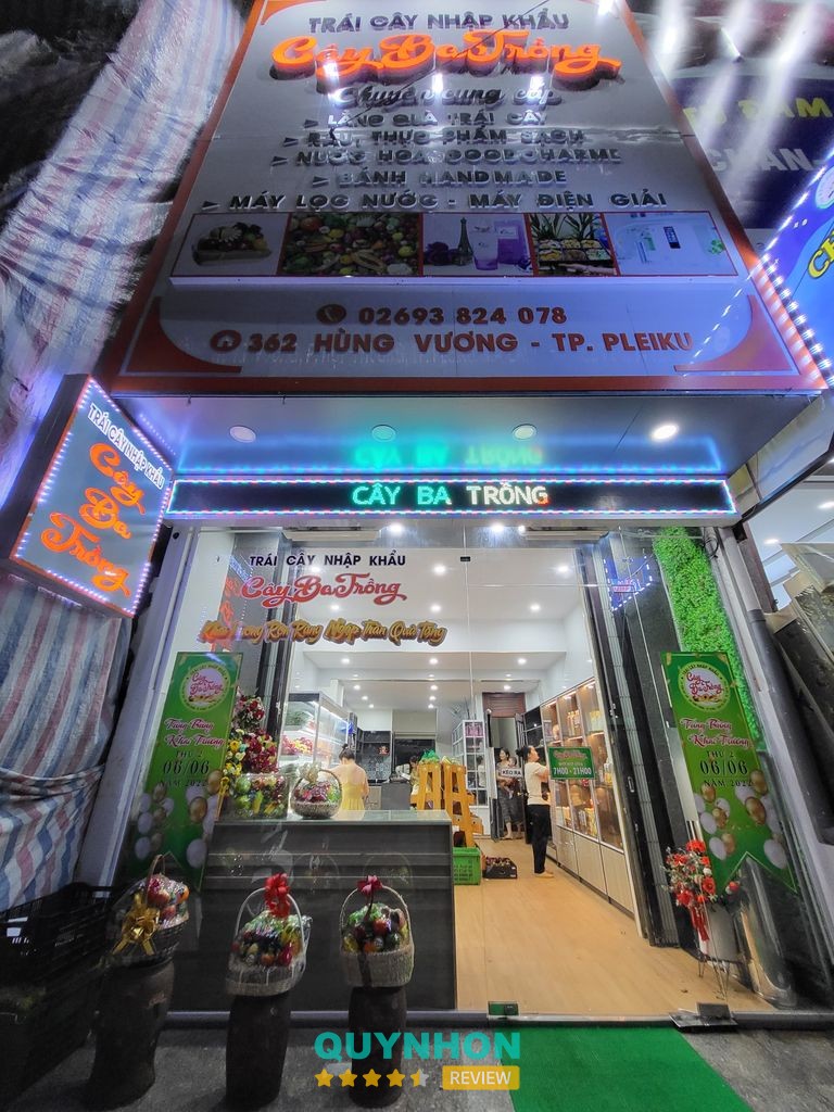 Cây Ba Trồng Hùng Vương – hình ảnh 3