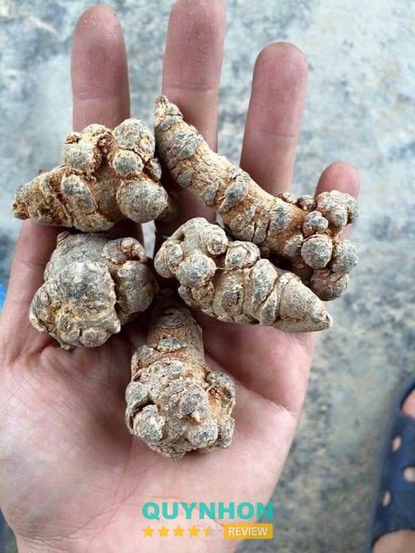 Đặc Sản Gia Lai – 136 Phù Đổng, P, Pleiku, Gia Lai 600000, Việt Nam hình ảnh 2