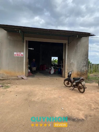 ĐẠI LÝ CÁM GẠO HẠNH LÊ Gia Lai