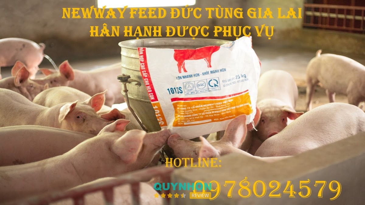 Thức ăn chăn nuôi Đức Tùng Gia Lai