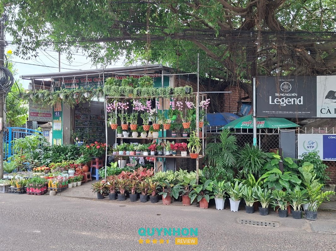 Trung tâm cây trồng Bình Định tại đường Nguyễn Diêu