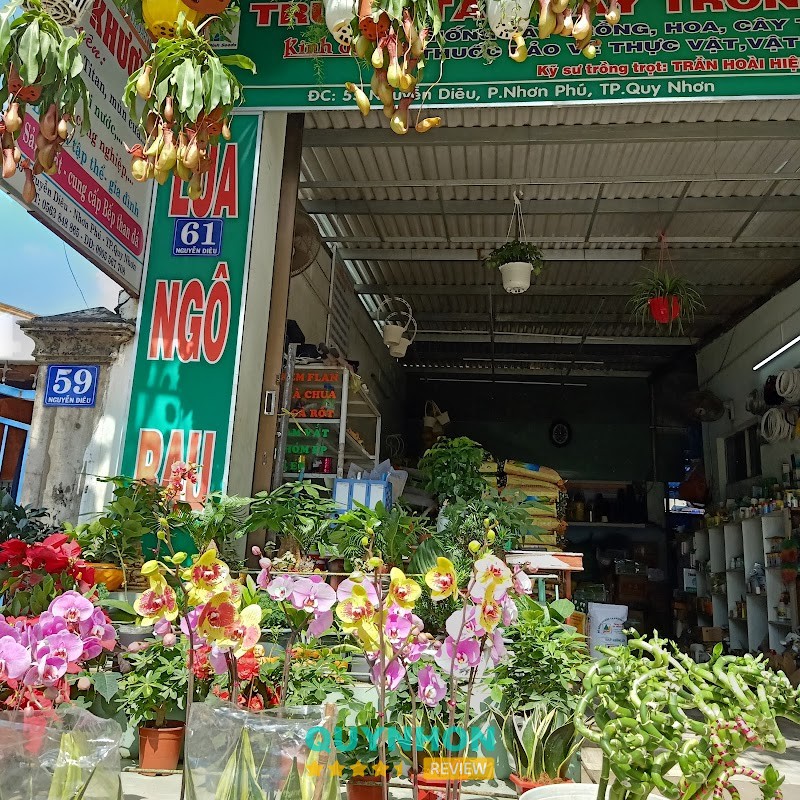 Các loại cây tại Trung tâm cây trồng Bình Định