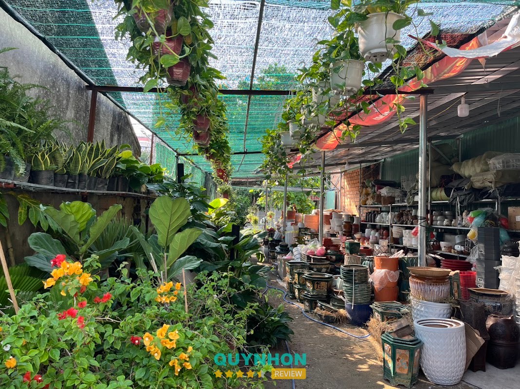 Cây cảnh 194 Hoàng Văn Thụ tại Quy Nhơn