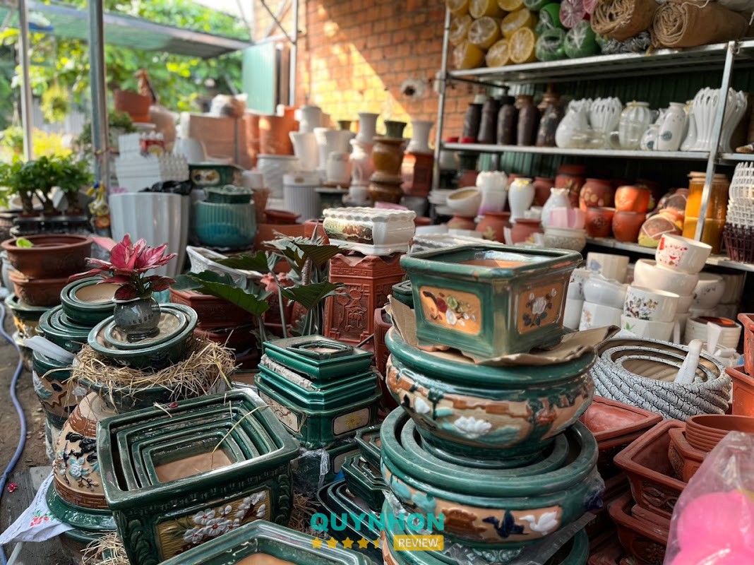 Các giống cây và chậu tại 194 Hoàng Văn Thụ
