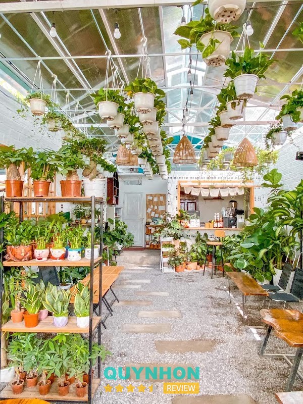 Xương rồng và sen đá tại Garden House Quy Nhơn