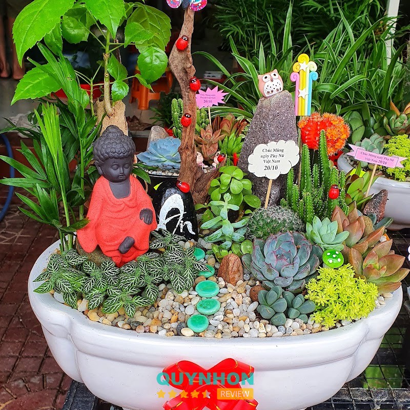 Cây văn phòng tại Garden House Quy Nhơn