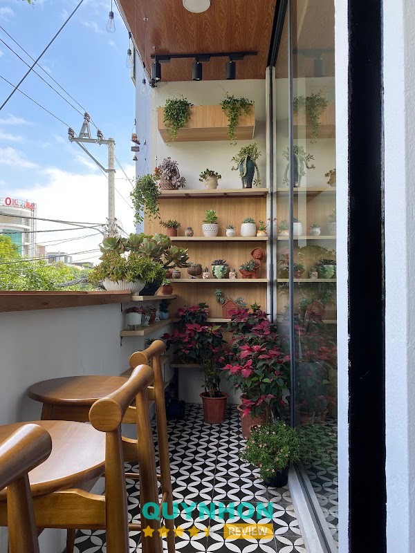Các giống cây tại Go2green Quy Nhơn