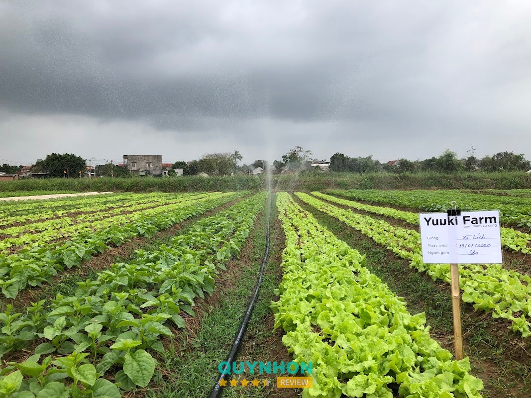 Vườn rau tại YUUKI FARM