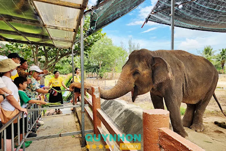 FLC Safari Zoo Quy Nhơn: Nhơn Lý, P. Quy Nhơn Đông