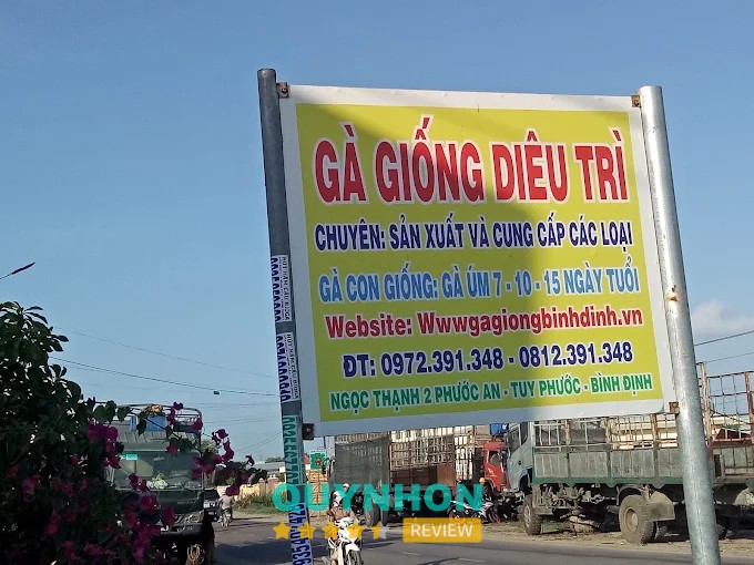 Gà Giống Diêu Trì Bình Định