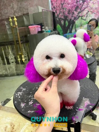 Không gian TBA Pet Shop Quy Nhơn
