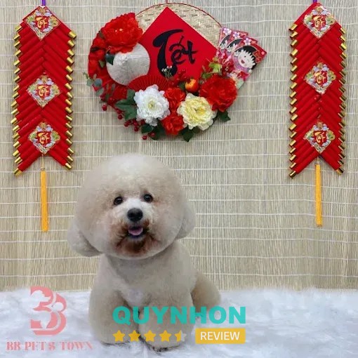 Không gian chăm sóc thú cưng BB PET’S TOWN