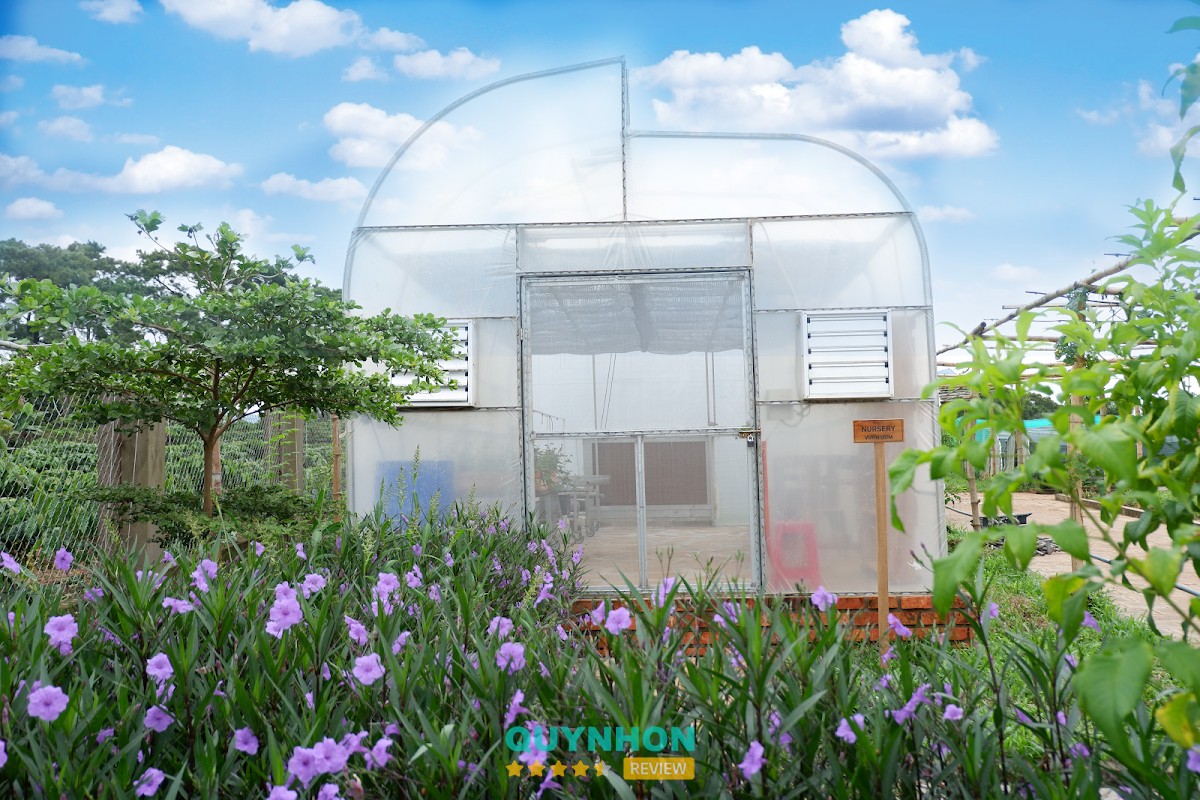 Công Ty TNHH MTV AGRESO – hình ảnh 3