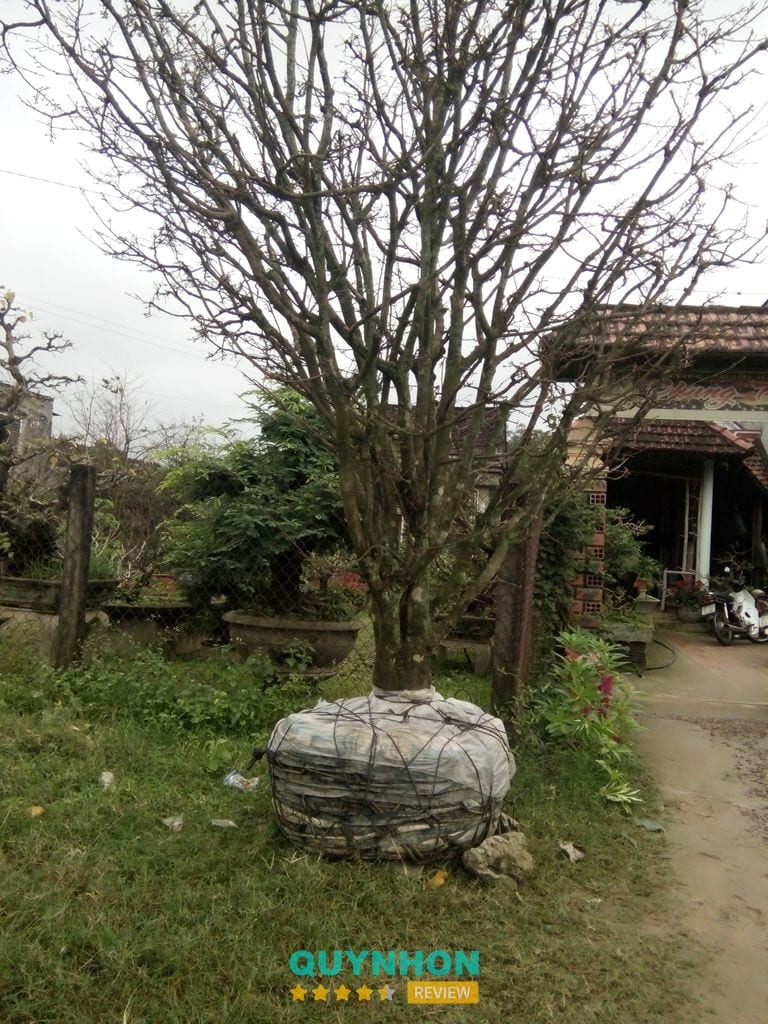 Nhà Nghỉ Ngọc Chánh – hình ảnh 2