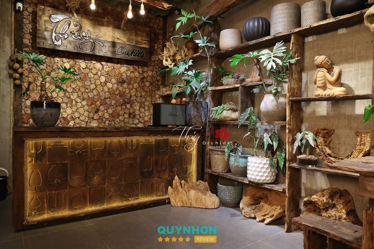 Shop hoa Lan Hồ Điệp - Thủy Orchids – 43 Nguyễn Lương Bằng, Pleiku, Gia Lai 600000, Việt Nam hình ảnh 2