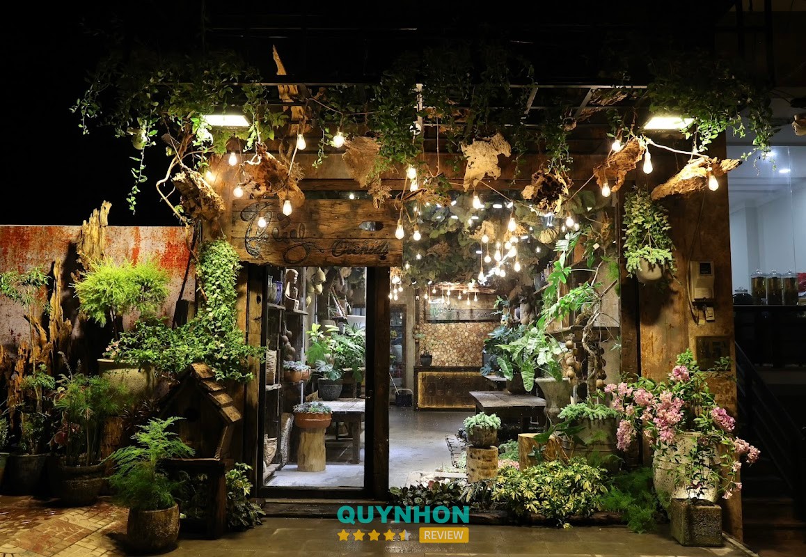 Shop hoa Lan Hồ Điệp - Thủy Orchids – 43 Nguyễn Lương Bằng, Pleiku, Gia Lai 600000, Việt Nam hình ảnh 3