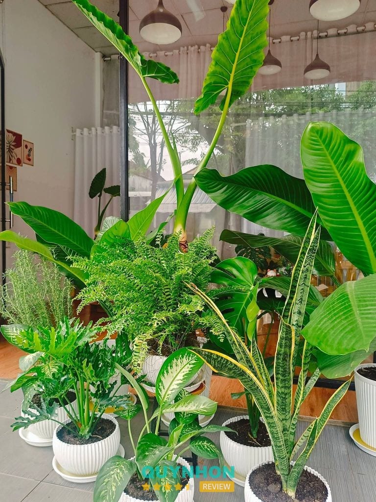 Phương Huệ Spa – hình ảnh 3