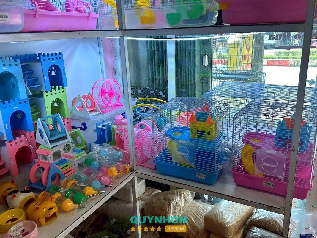 K PET - DỊCH VỤ THÚ CƯNG – hình ảnh 2