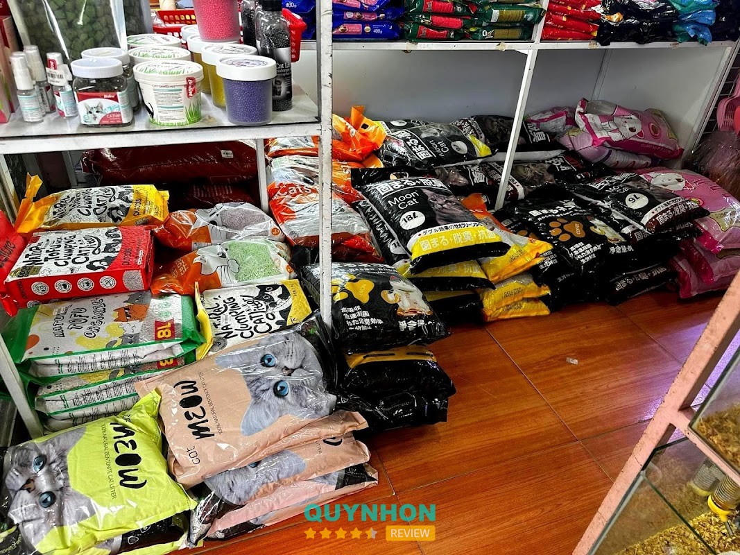 K PET - DỊCH VỤ THÚ CƯNG – hình ảnh 3