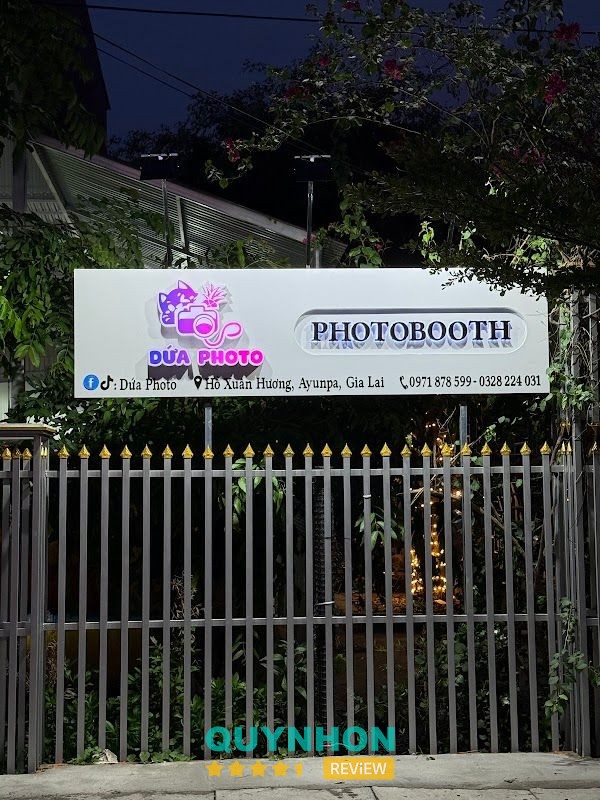 Dứa Photo – hình ảnh 2