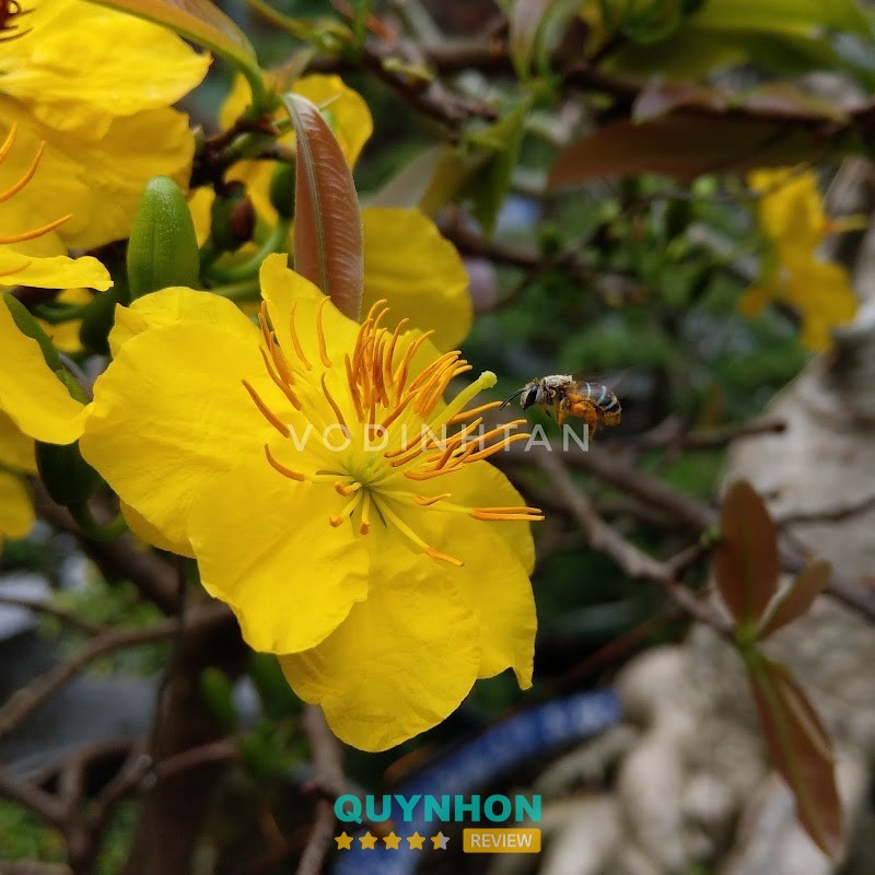 Cửa Hàng Điện Tử Đình Thư