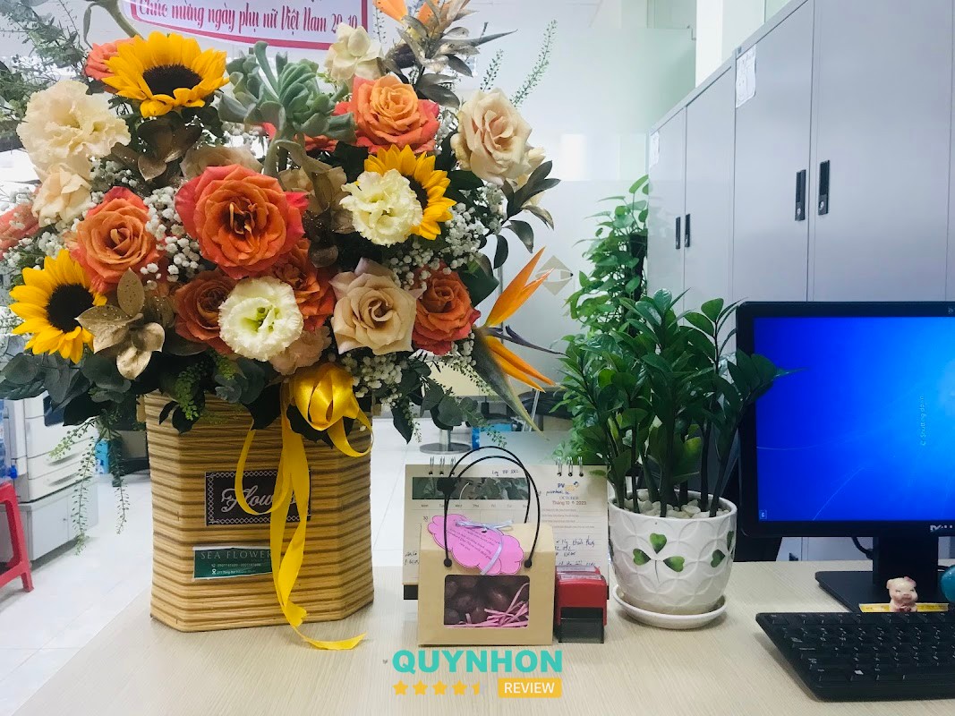 Sao Việt – hình ảnh 3