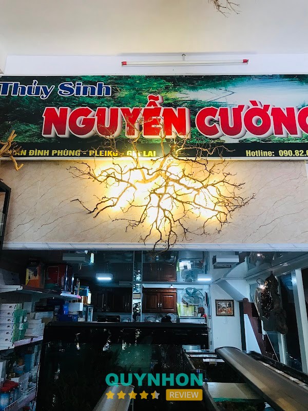 Thủy Sinh Nguyễn Cường Gia Lai