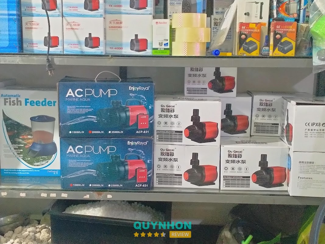 Thiết Bị Bể Cá ( CÁ KOI) – hình ảnh 3