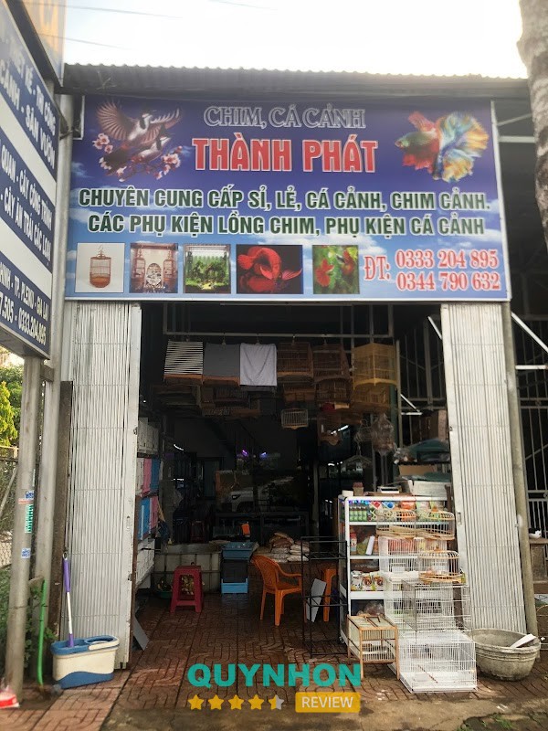 Cá Cảnh Thành Phát Gia Lai