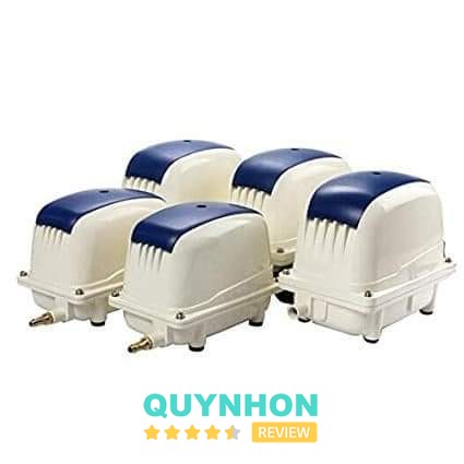 Thiết Bị Bể Cá ( CÁ KOI) – 03 Trần Thị Kỷ, Quy Nhơn Nam, Gia Lai, Việt Nam