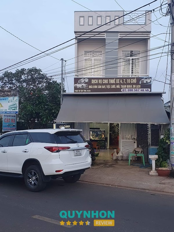 Dịch vụ cho thuê xe tự lái. Thi công, thiết kế hồ thủy sinh, tiểu cảnh sân vườn. Trí Nguyễn – 7 Bùi Dự, Pleiku, Gia Lai 600000, Việt Nam hình ảnh 3