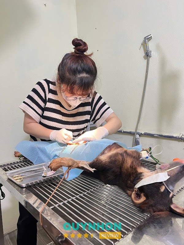 THÚ Y VŨ TRƯỜNG ĐĂK ĐOA Gia Lai