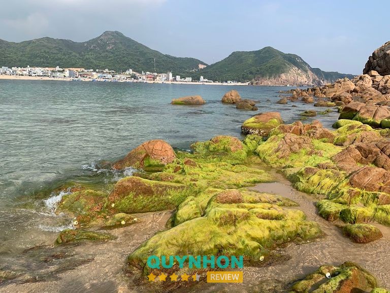 Du Lịch Hòn Khô Biển Đông – hình ảnh 2