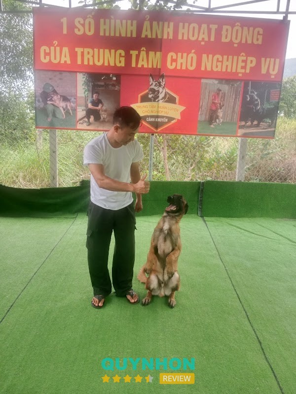 Trường Huấn Luyện Chó Nghiệp Vụ Cảnh Khuyển – hình ảnh 2