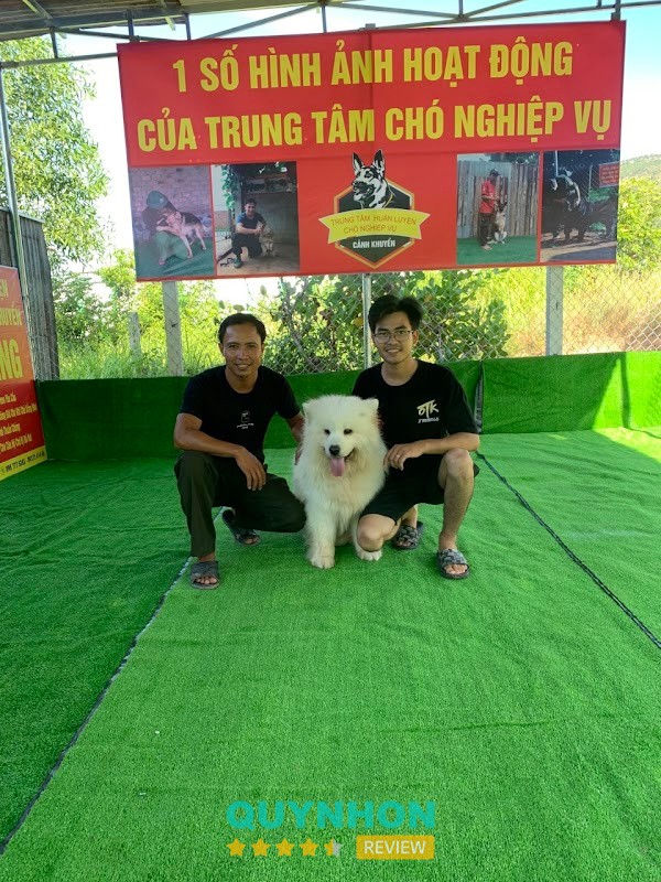Trường Huấn Luyện Chó Nghiệp Vụ Cảnh Khuyển – hình ảnh 3